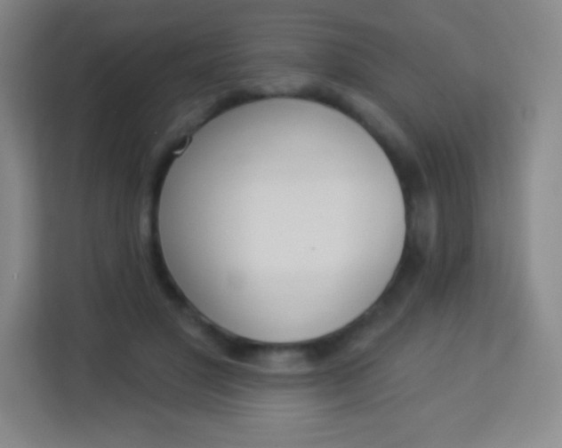 X0000113940501200910091625