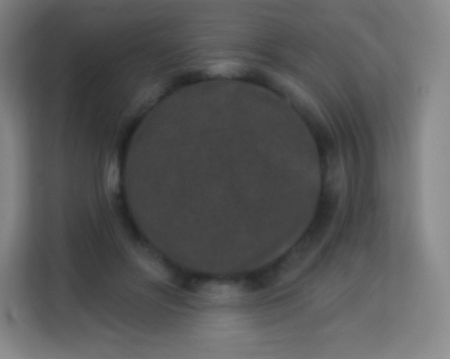 X0000113940502200910091625