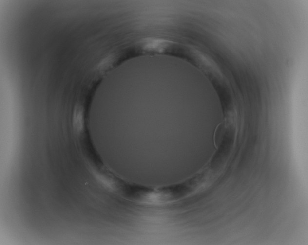 X0000113940504200910091625