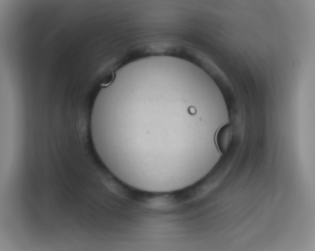 X0000113940505200910091625