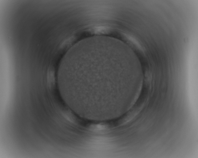 X0000113940506200910091625