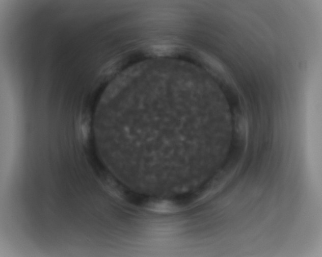 X0000113940507200910091625