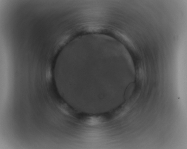 X0000113940508200910091625