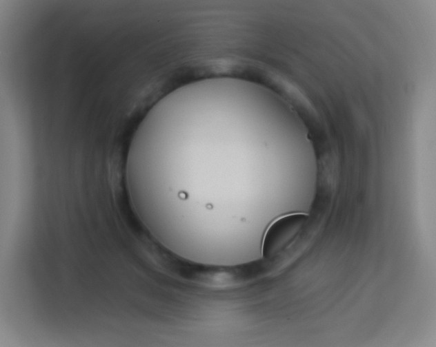 X0000113940509200910091625