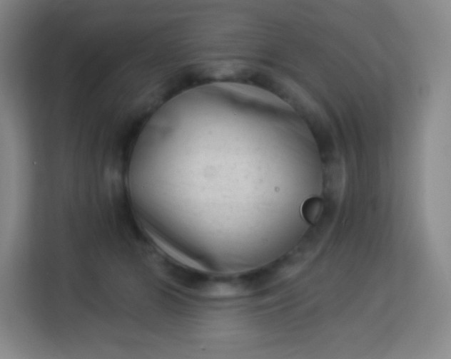 X0000113940510200910091625