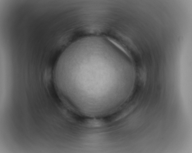 X0000113940511200910091625