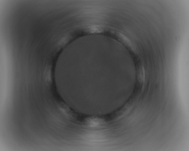 X0000113940512200910091625