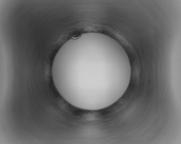 X0000113940513200910091625