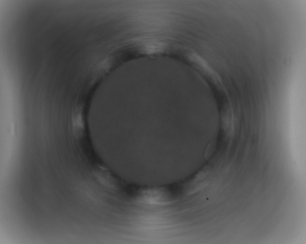 X0000113940516200910091625