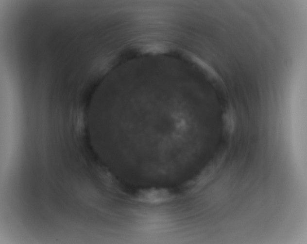 X0000113940517200910091625