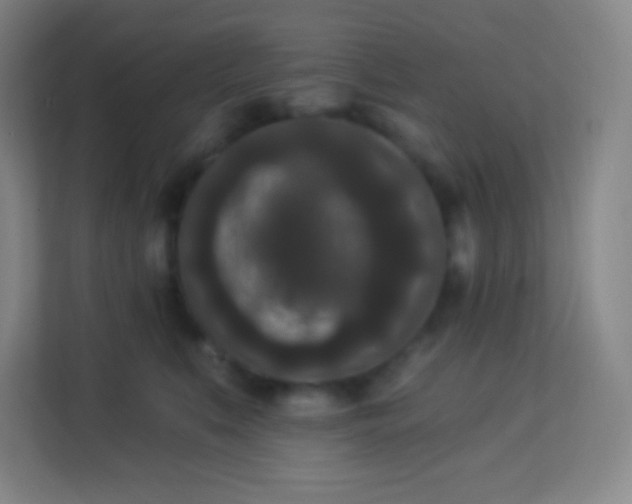 X0000113940519200910091625