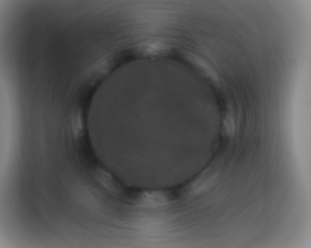 X0000113940520200910091625