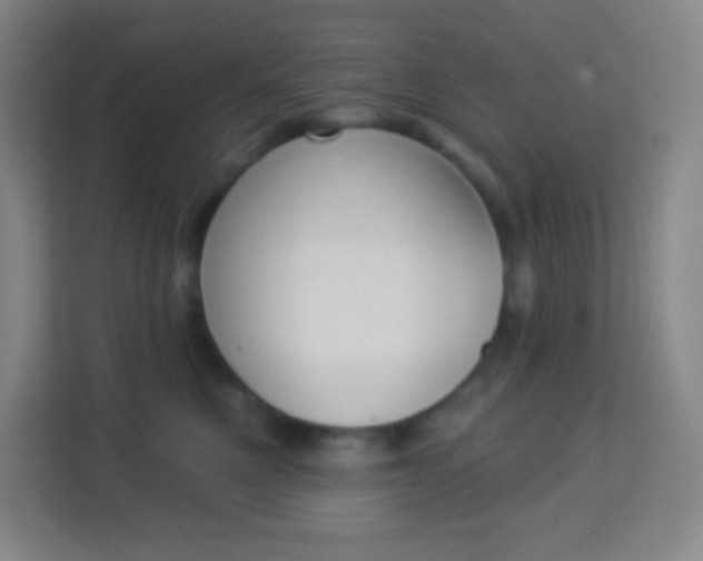 X0000113940521200910091625