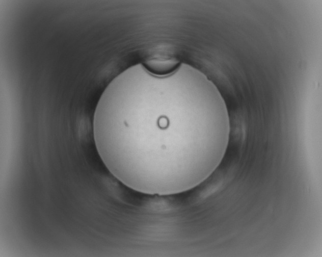 X0000113940523200910091625