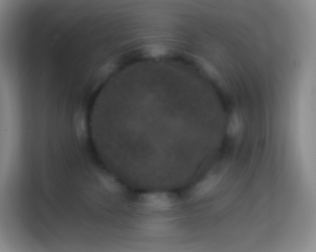 X0000113940524200910091625