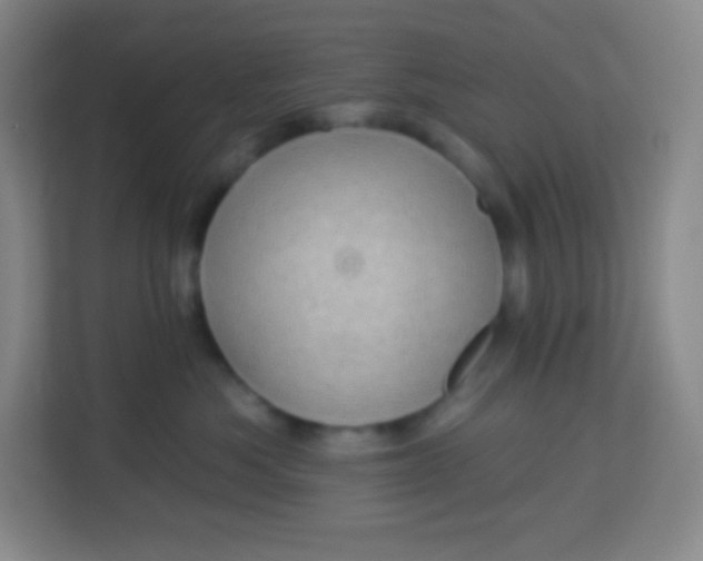 X0000113940525200910091625