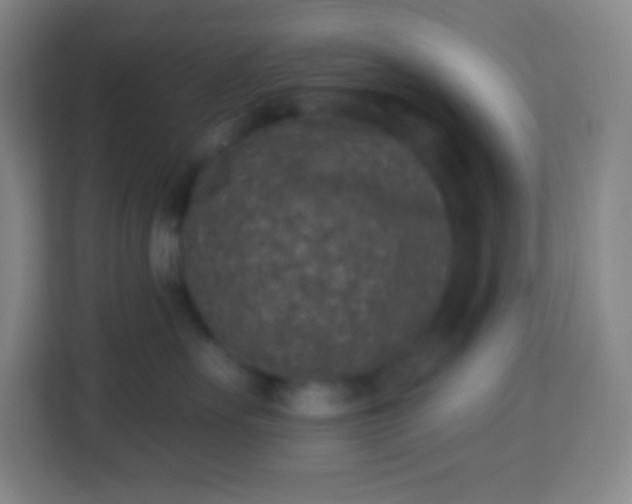 X0000113940527200910091625