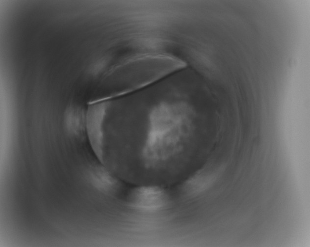 X0000113940528200910091625