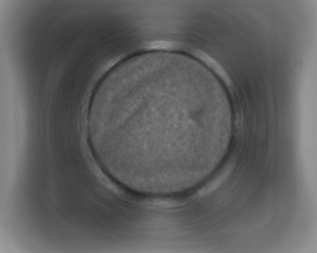 X0000113940529200910091624