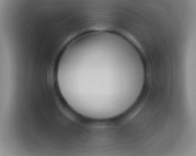 X0000113940530200910091624