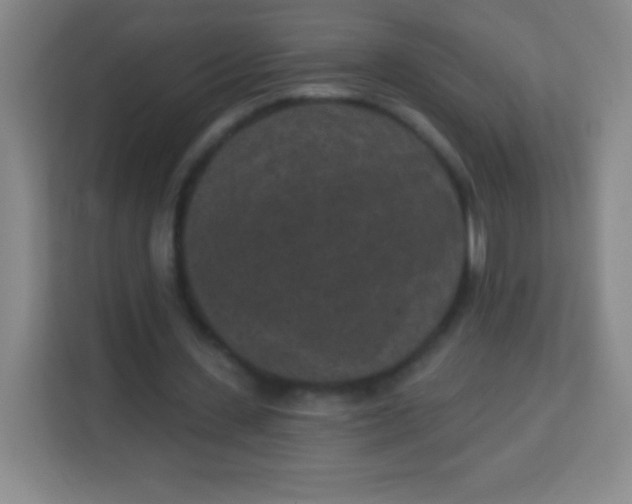 X0000113940531200910091624