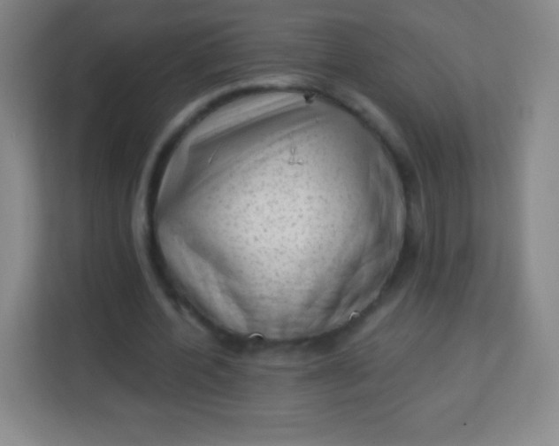 X0000113940532200910091624