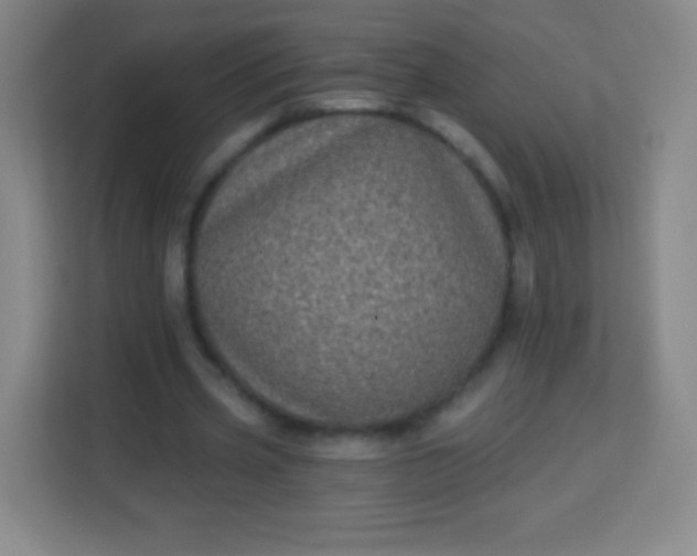 X0000113940533200910091624