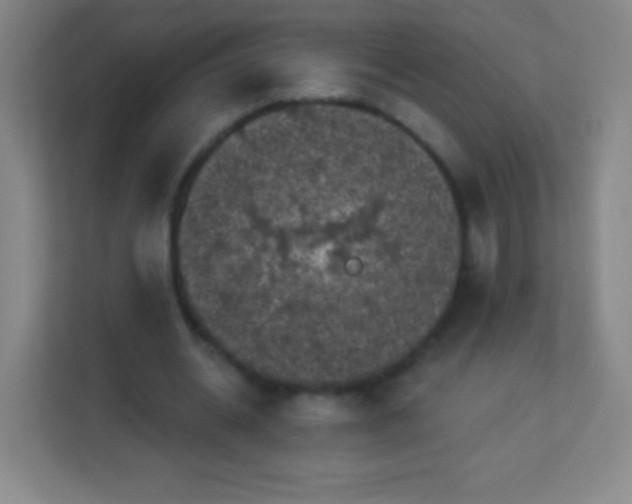 X0000113940534200910091624