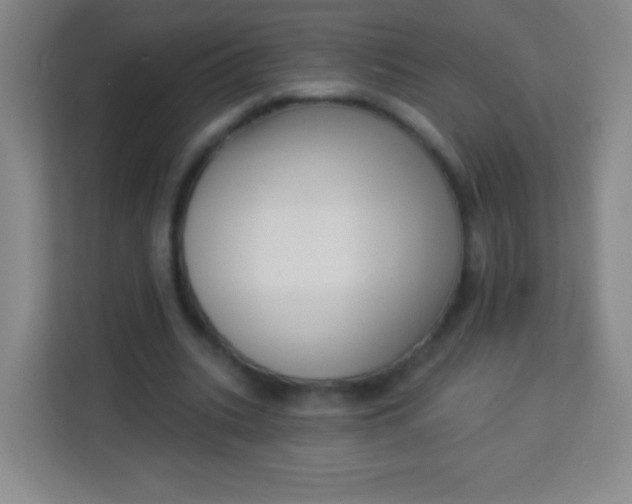 X0000113940535200910091624