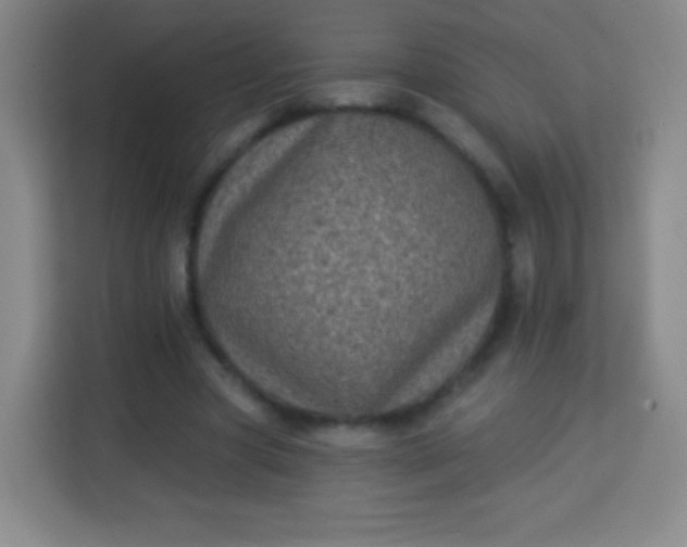 X0000113940537200910091624