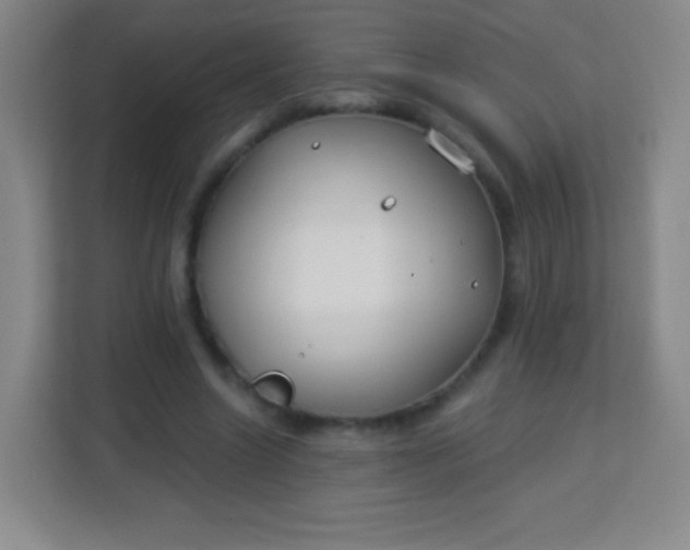 X0000113940538200910091624