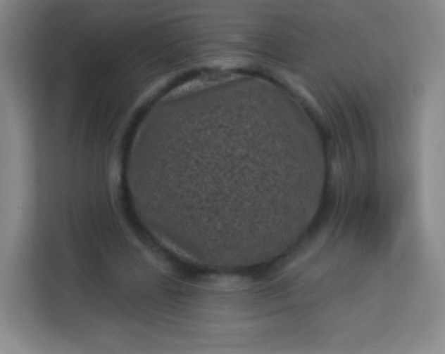 X0000113940539200910091625