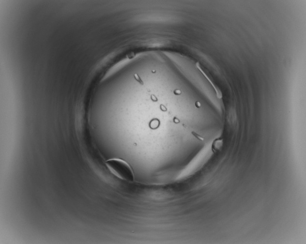 X0000113940540200910091625