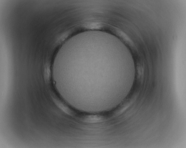 X0000113940541200910091625