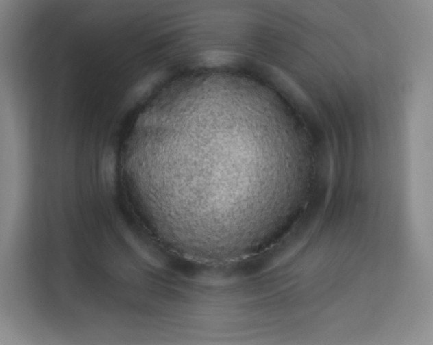 X0000113940542200910091625