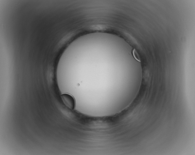 X0000113940544200910091625