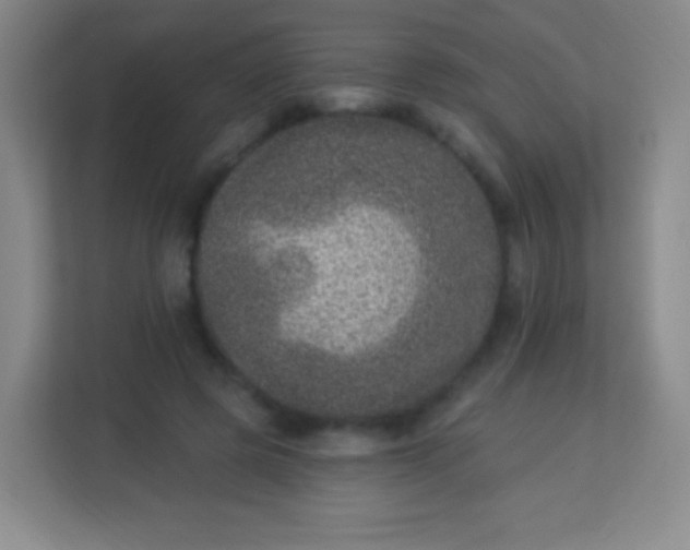 X0000113940545200910091625