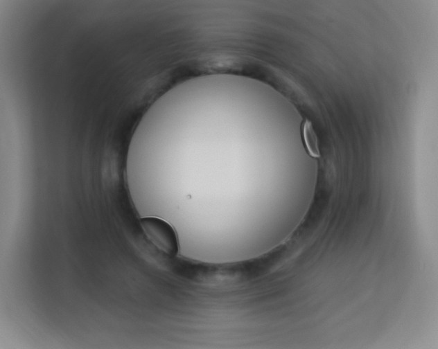 X0000113940546200910091625