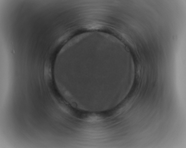 X0000113940547200910091625