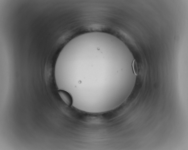 X0000113940548200910091625