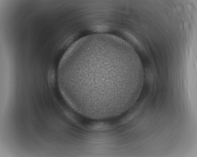 X0000113940549200910091625