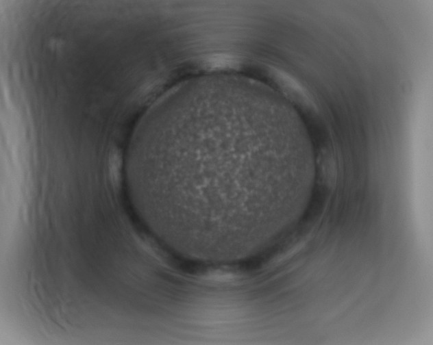 X0000113940550200910091625