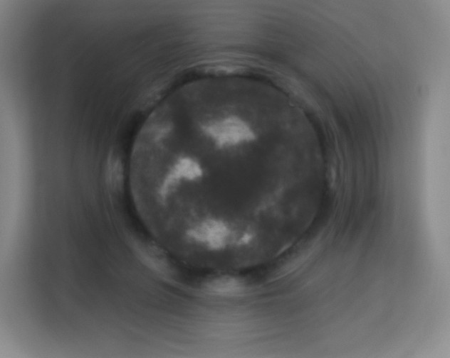 X0000113940551200910091625