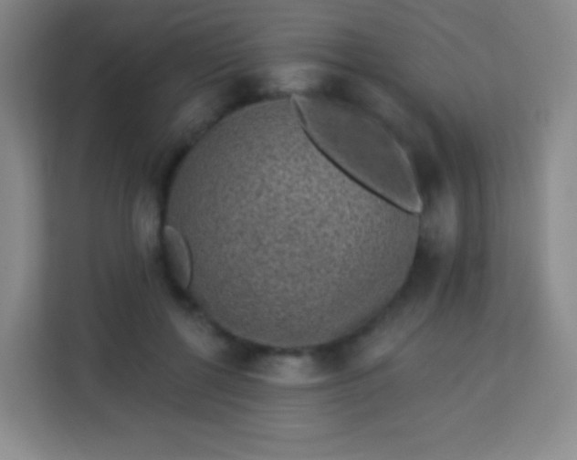 X0000113940552200910091625