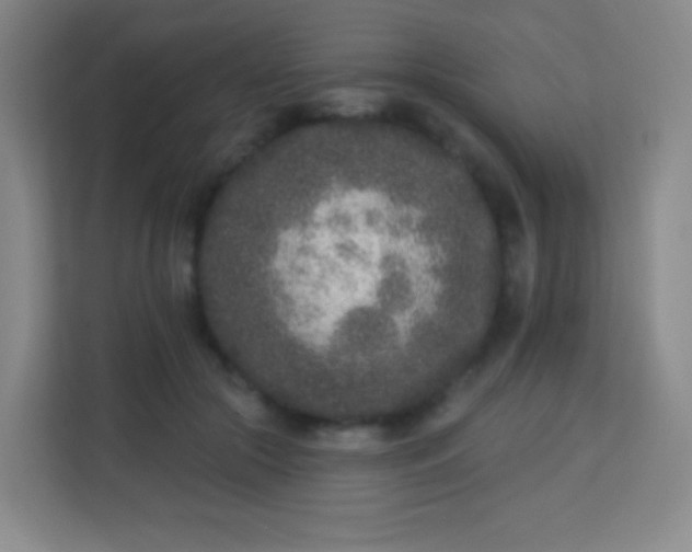 X0000113940553200910091625