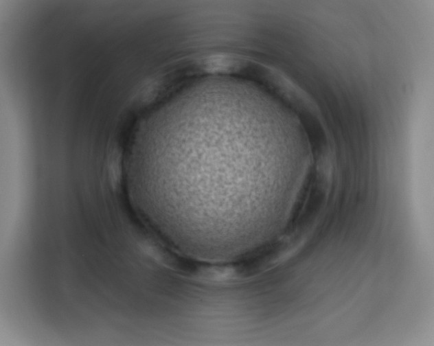 X0000113940554200910091625