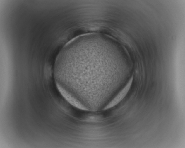 X0000113940555200910091625