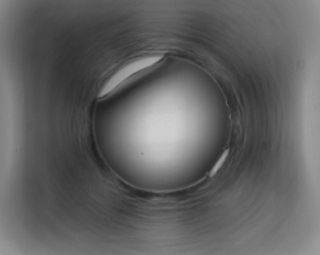 X0000113940556200910091625