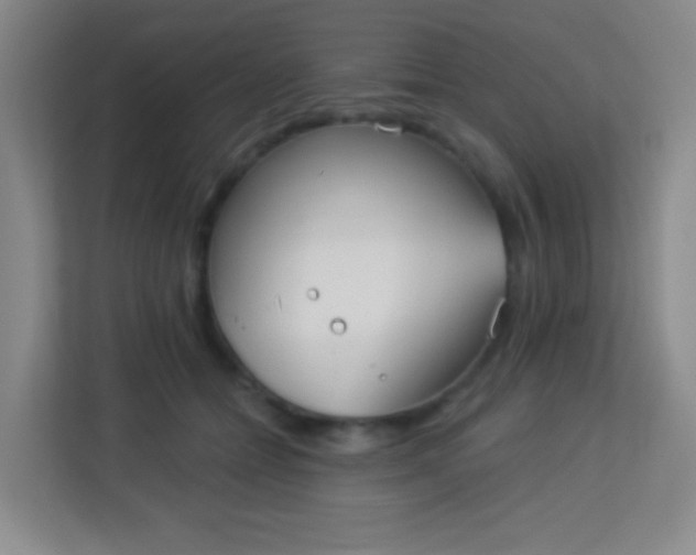 X0000113940558200910091625