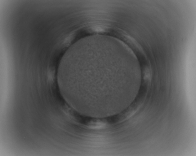 X0000113940559200910091625